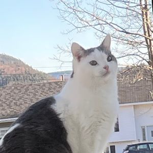 Meet your Posher, Melanie